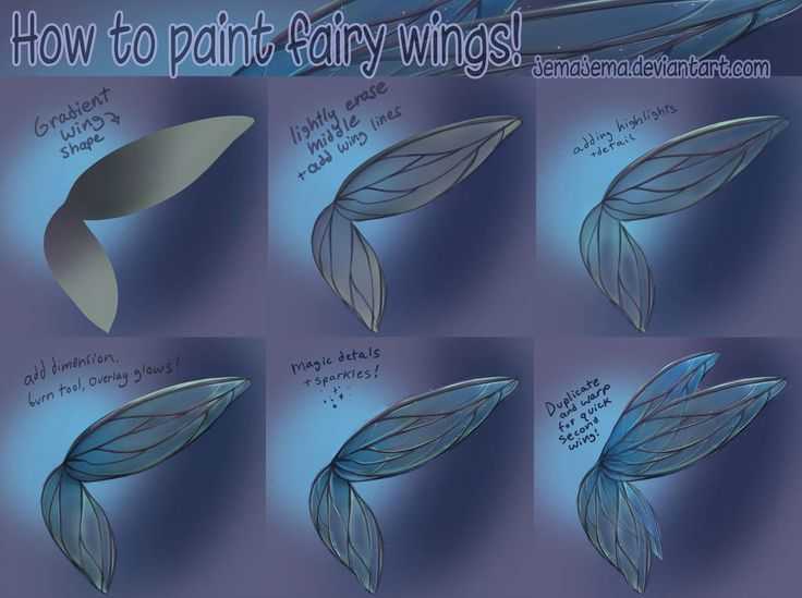 Fairy Wings Drawing 13
