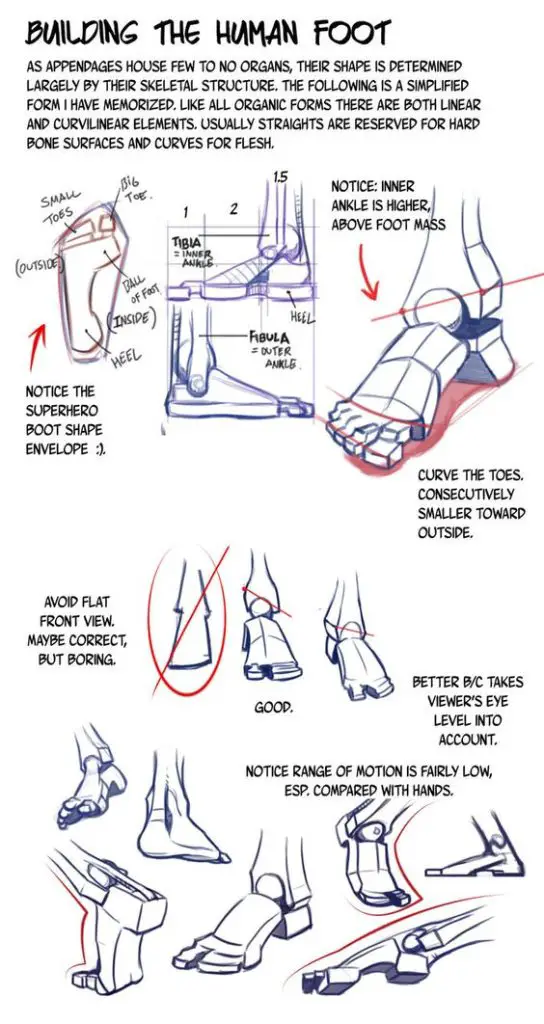feet drawing reference
feet art reference
feet poses reference
feet poses drawing 19