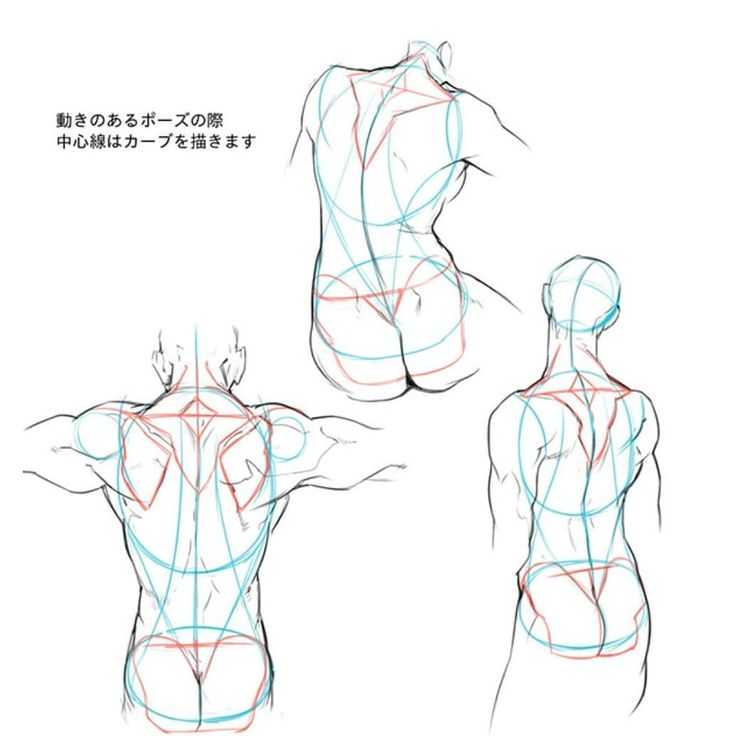Female Back Drawing Reference 1