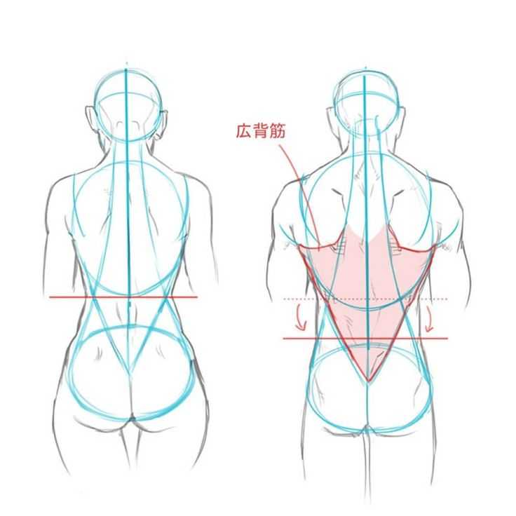 Female Back Drawing Reference 2