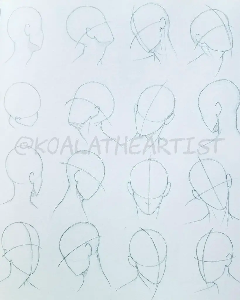 female head drawing reference 2