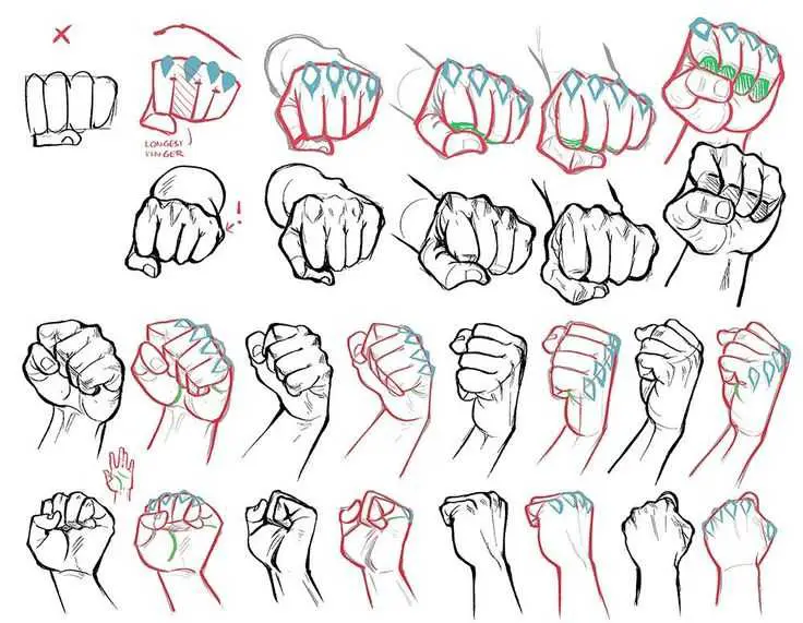 Fist Drawing Reference 1