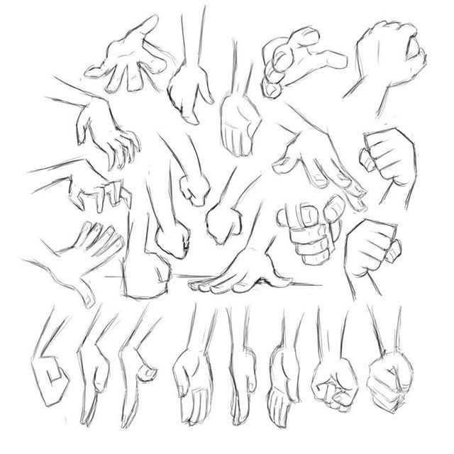 Fist Drawing Reference 11