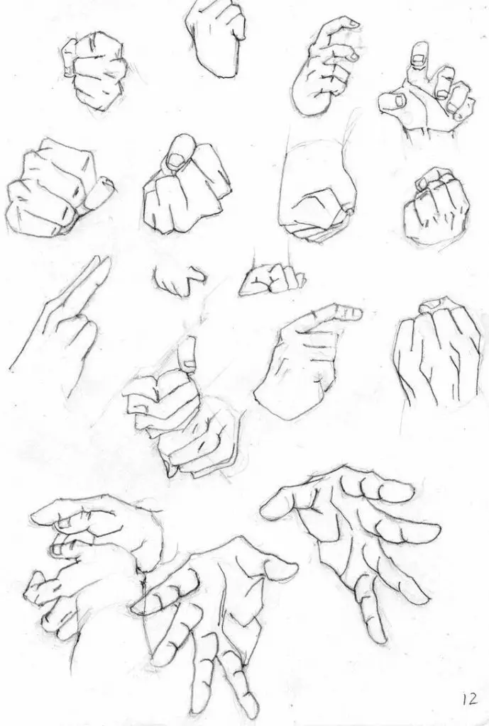 Fist Drawing Reference 13