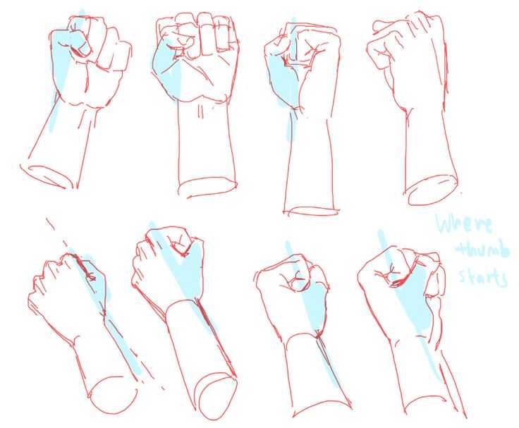Fist Drawing Reference 15