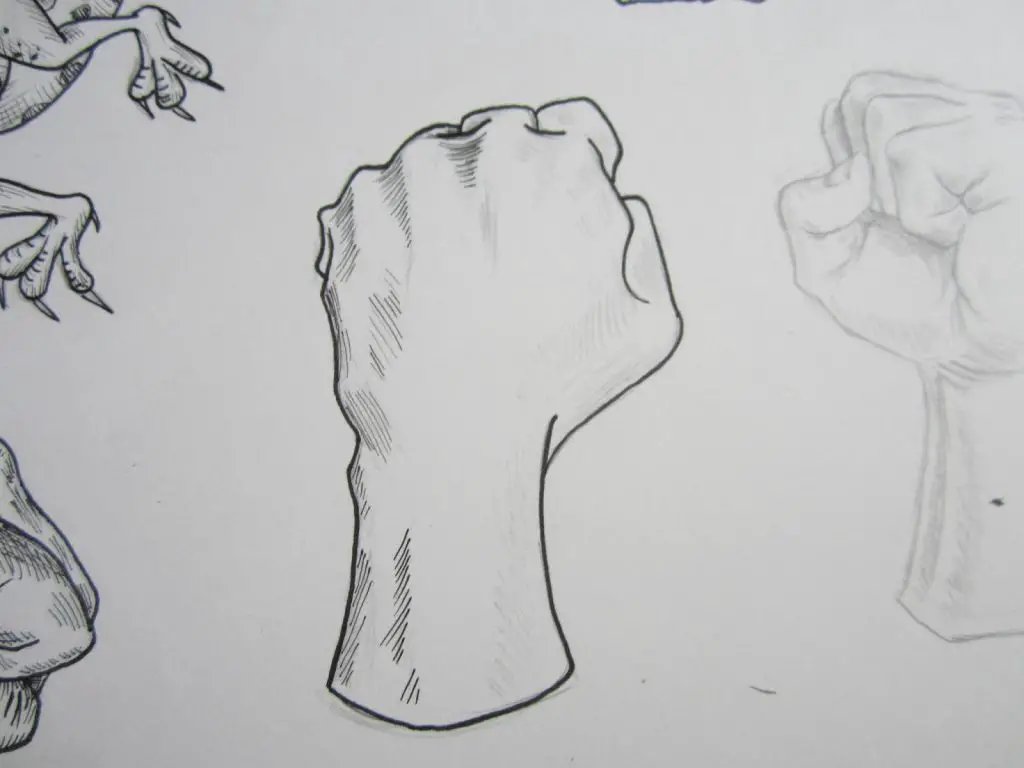 Fist Drawing Reference 3