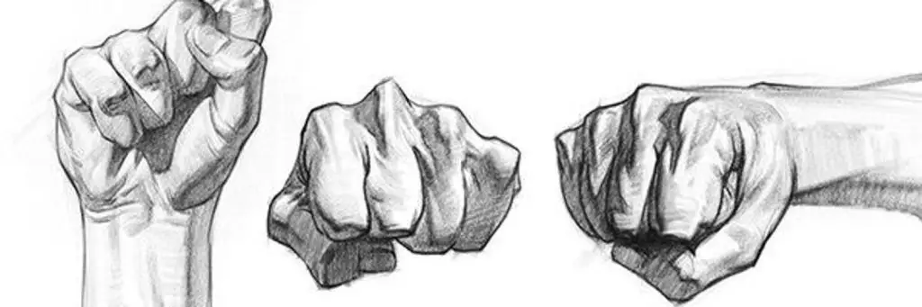 Fist Drawing Reference 5