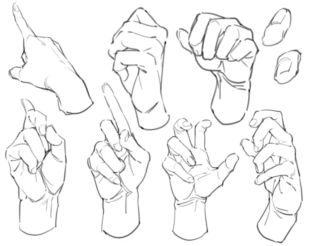 Fist Drawing Reference 9