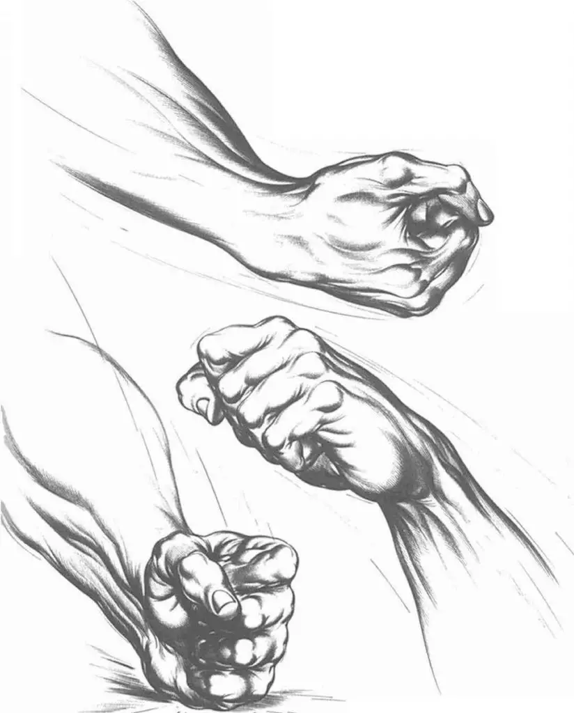 Fist Pose Reference 5