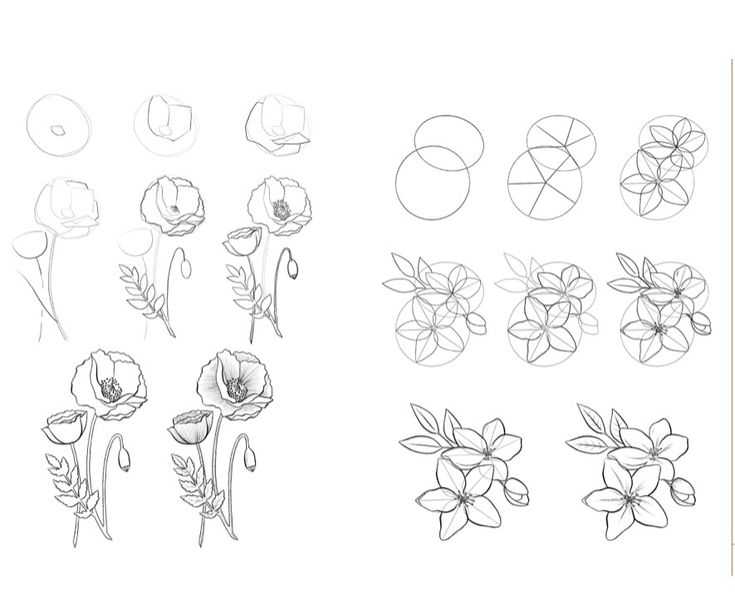 Flower Drawing Reference 14