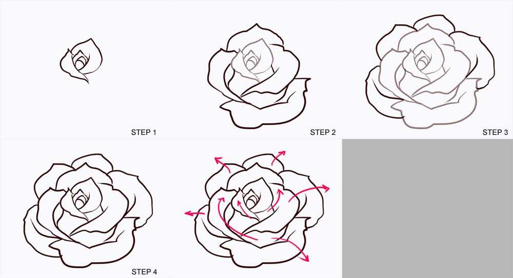 Flower Drawing Reference 17