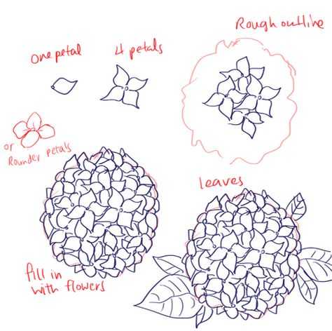 Flower Drawing Reference 35