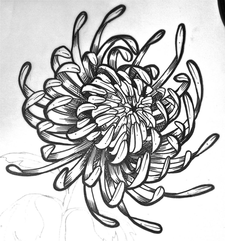 Flower Drawing Reference 38 956x1024