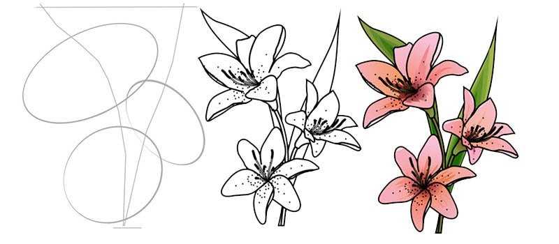Flower Drawing Reference 54