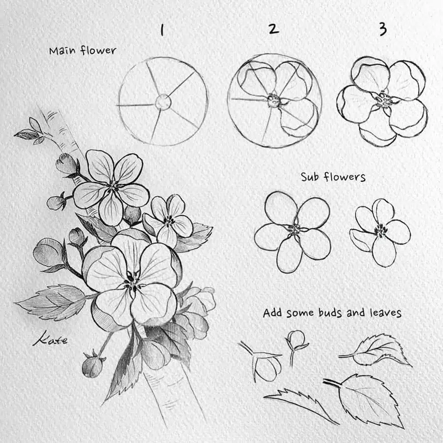 Featured image for flower drawing reference