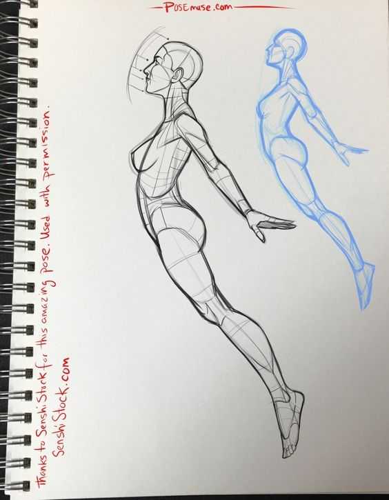 Flying Pose Reference Drawing 3