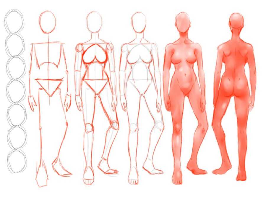 Full Body Drawing Reference 1