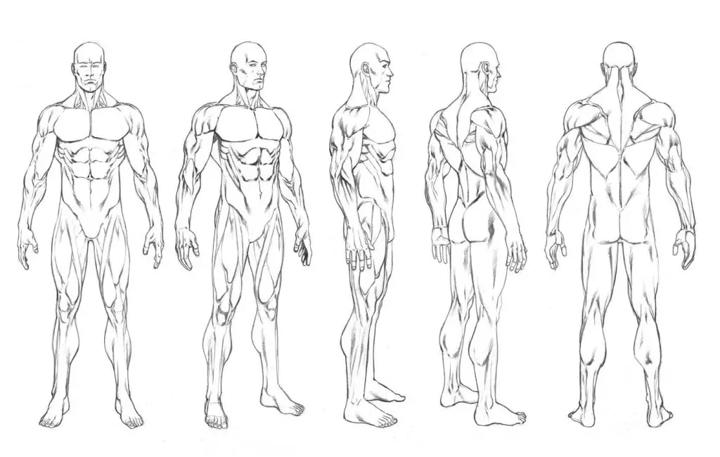 Full Body Drawing Reference 13 1024x650