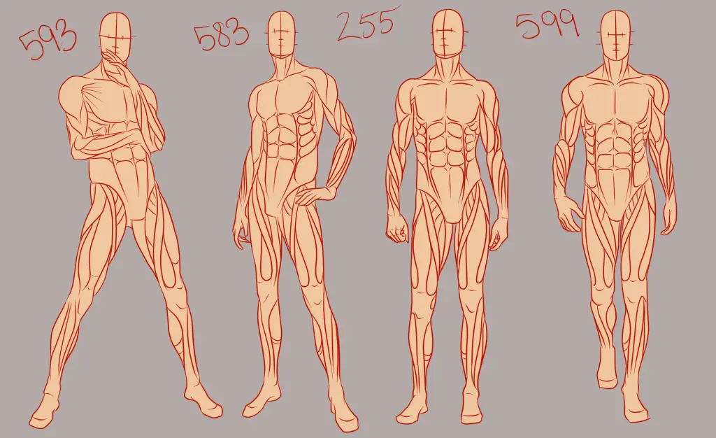 Full Body Drawing Reference 4