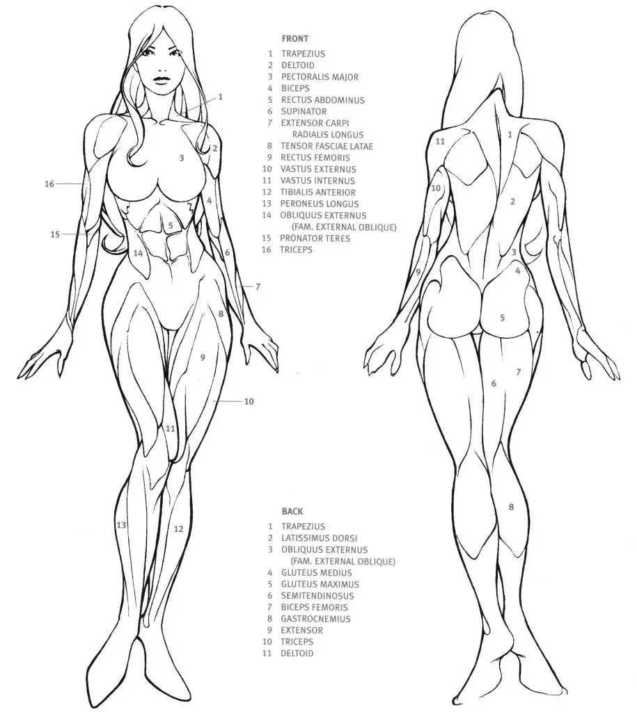 Full Body Pose Reference 8 915x1024