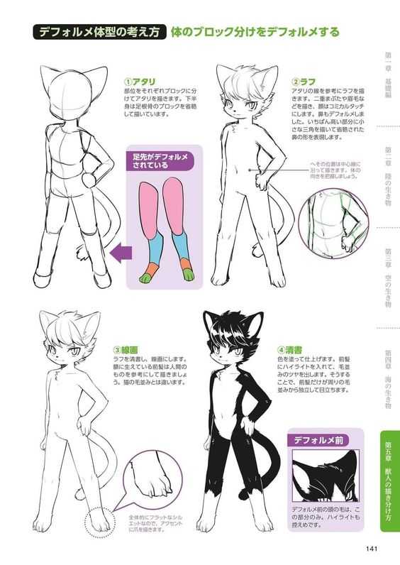Furry Drawing Reference 11