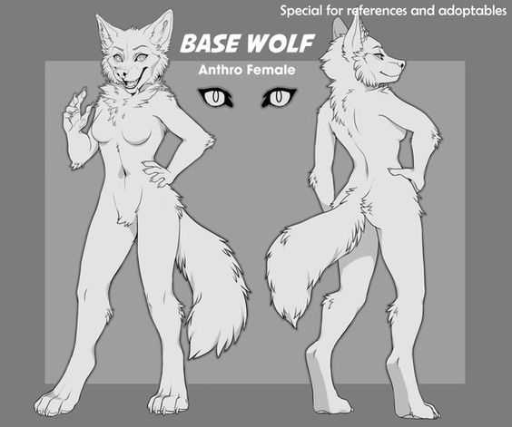 Furry Drawing Reference 14