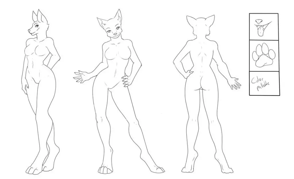 Furry Drawing Reference 19 1024x626