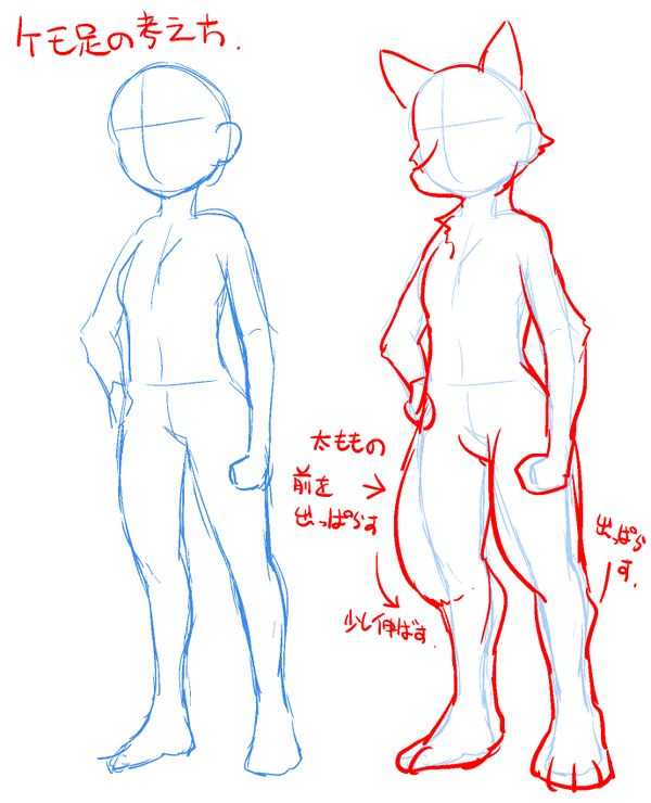 Furry Pose Reference 10