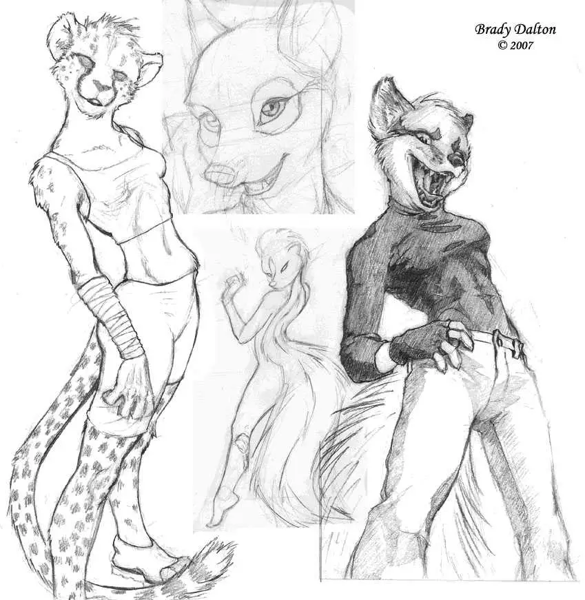 Furry Pose Reference 16