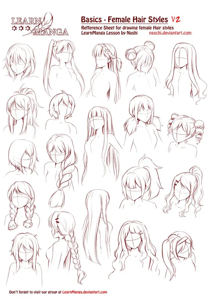 hairstyles drawing reference
2