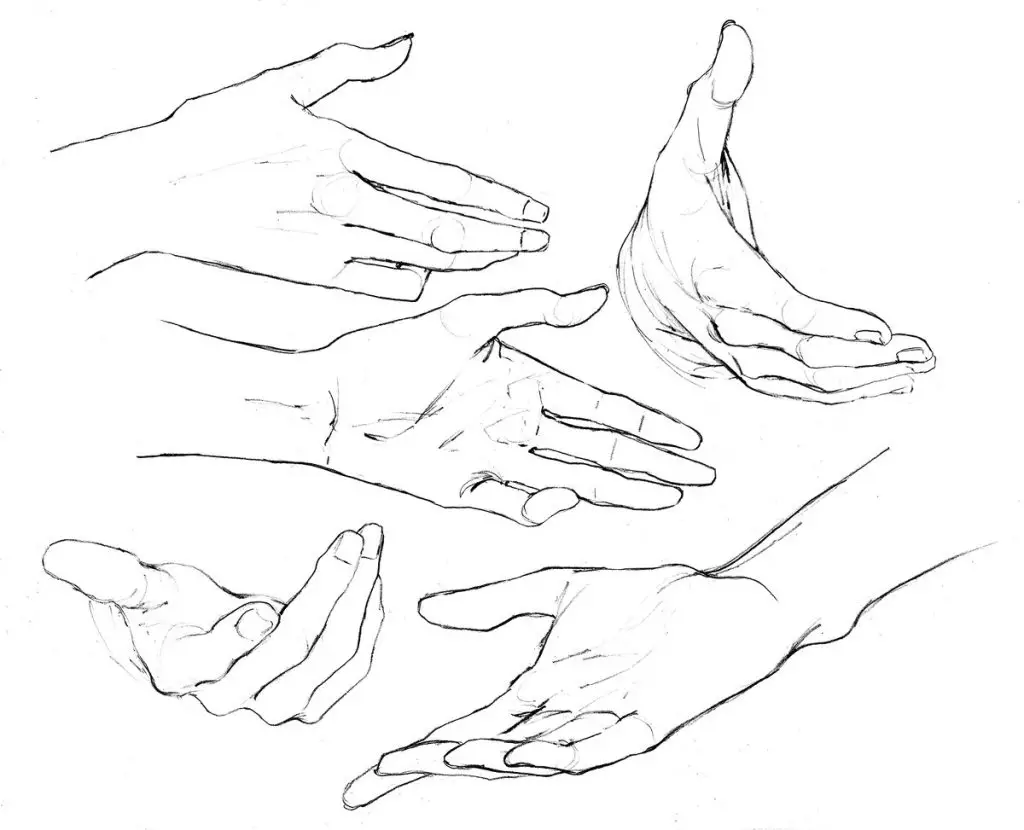 Hand Reaching Out Pose Reference 5 1024x830
