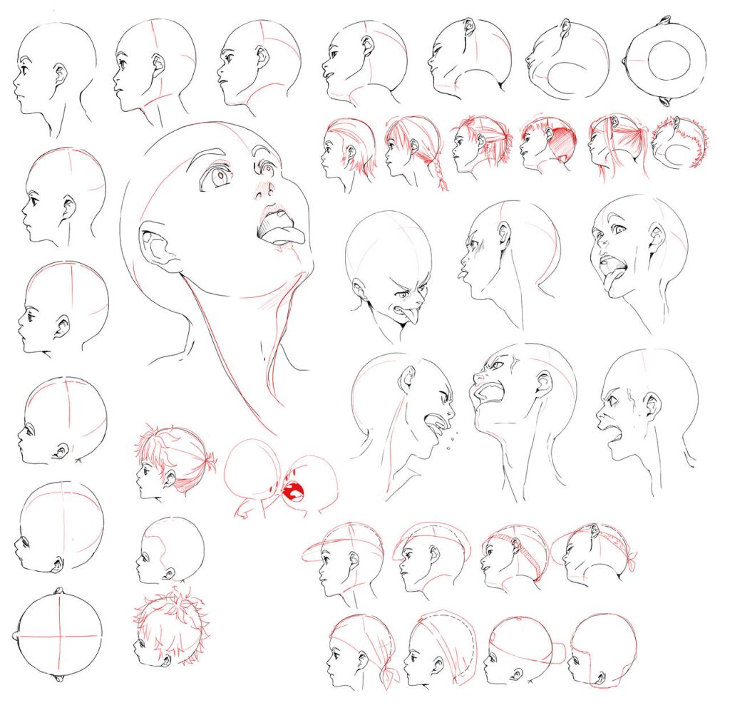head angles reference 2