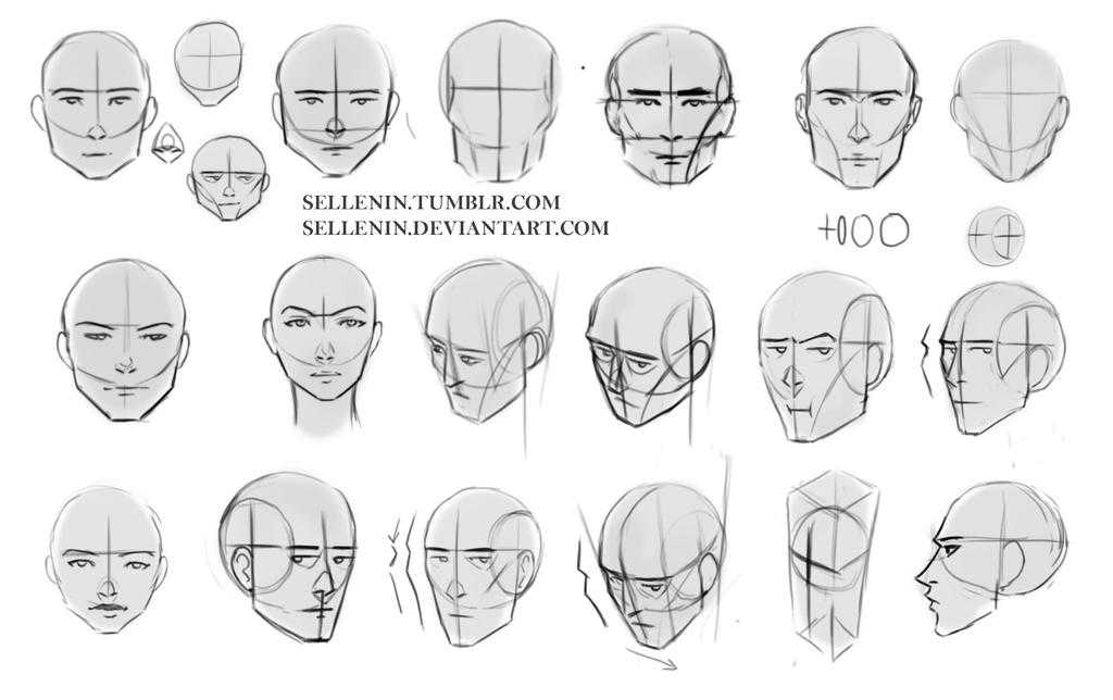 head angles reference 3 