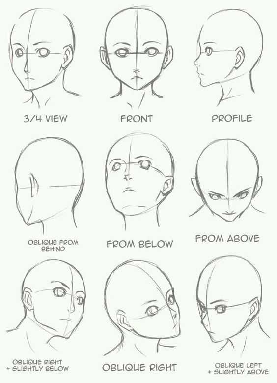 head drawing reference 11