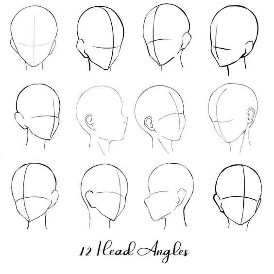 head drawing reference 12