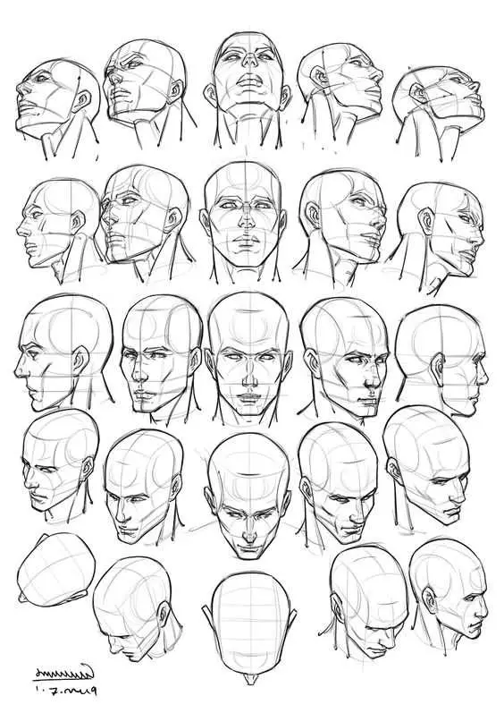 head drawing reference 17