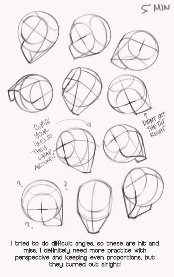 head drawing reference 18