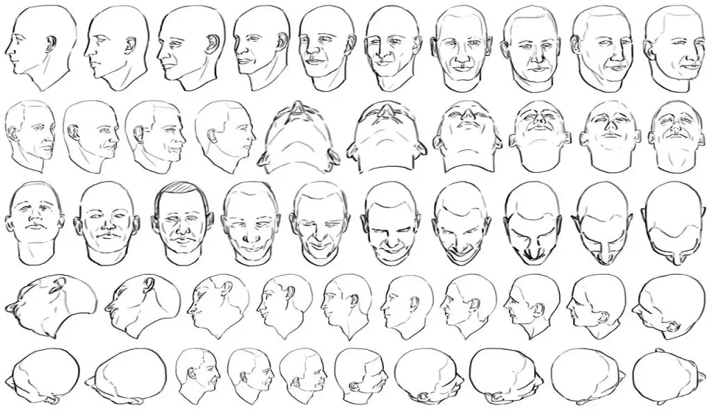 head drawing reference 4