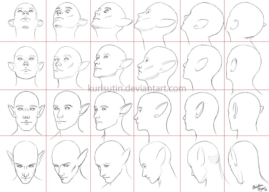 head drawing reference 5