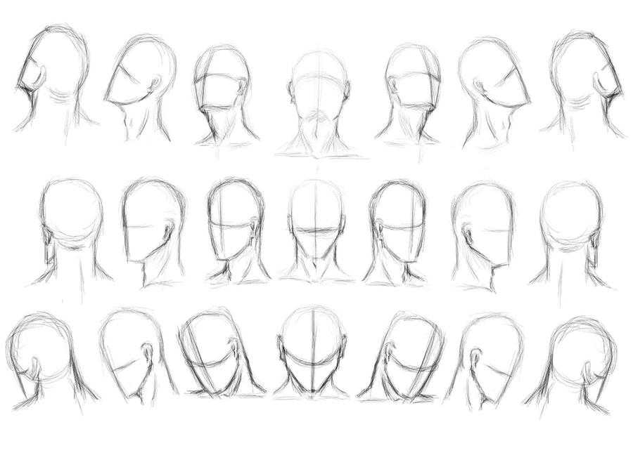 head drawing reference 8