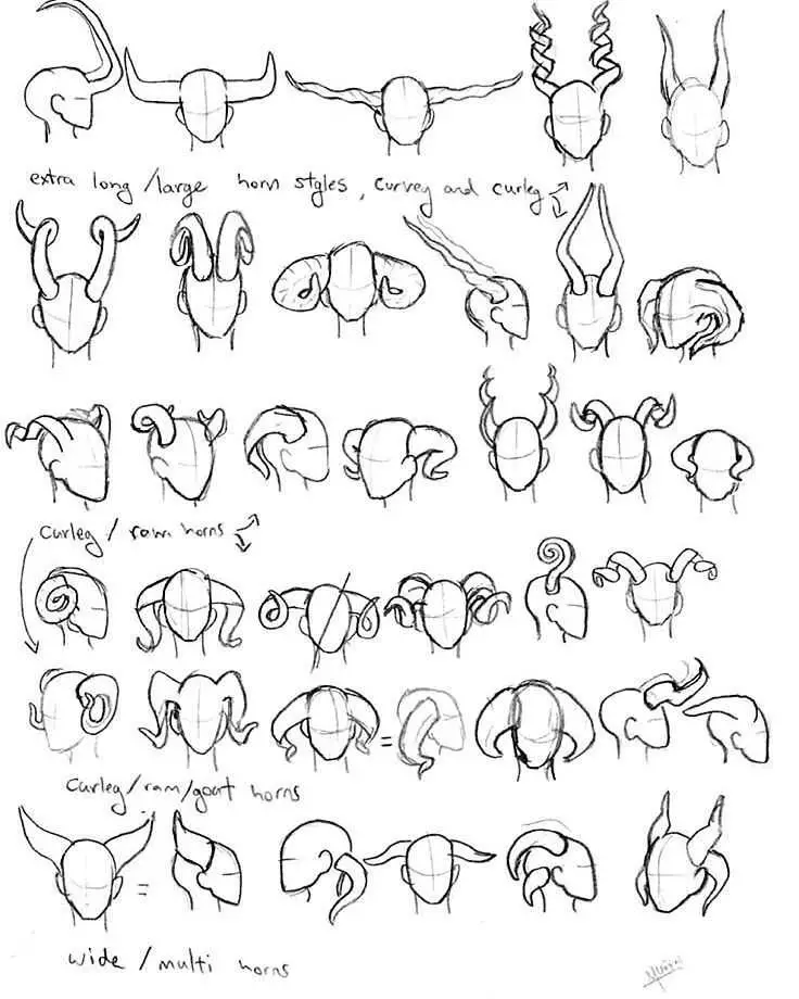 Horns Art Reference 12