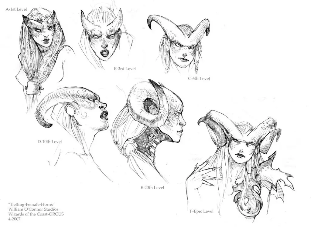 Horns Drawing Reference 13 1024x749