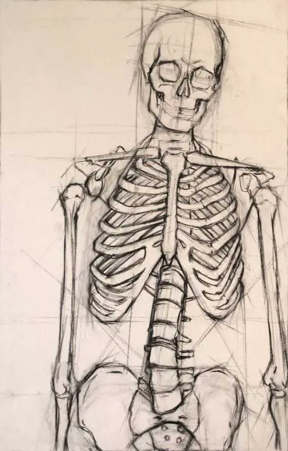 Human Skeleton Drawing Reference 5