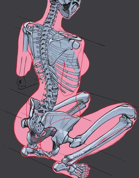 Human Skeleton Drawing Reference 9