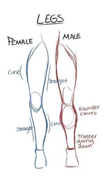 legs drawing reference female legs drawing reference male legs drawing reference muscular legs drawing reference legs art reference 10
