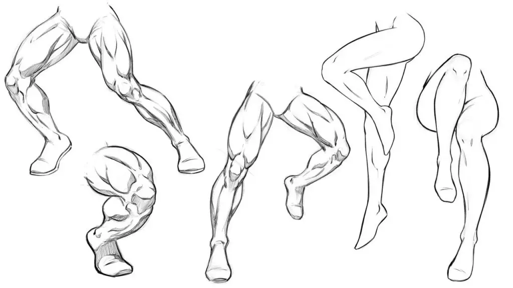Legs Drawing Reference Female Legs Drawing Reference Male Legs Drawing Reference Muscular Legs Drawing Reference Legs Art Reference 15 1 1024x576
