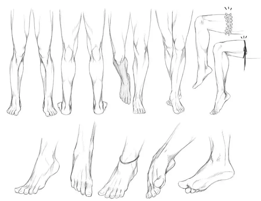 Legs Drawing Reference Female Legs Drawing Reference Male Legs Drawing Reference Muscular Legs Drawing Reference Legs Art Reference 16 1