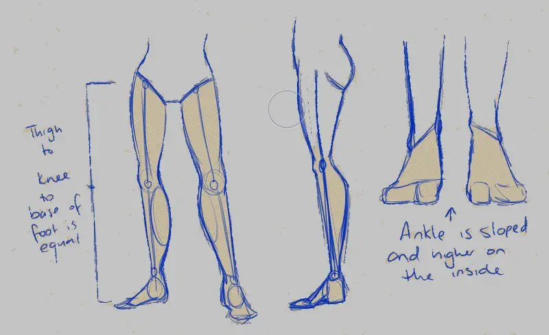 Legs Drawing Reference Female Legs Drawing Reference Male Legs Drawing Reference Muscular Legs Drawing Reference Legs Art Reference 27 1