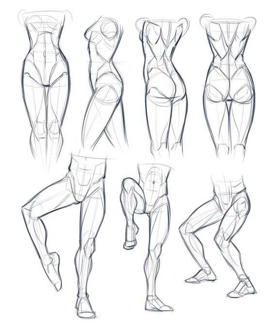 legs drawing reference female legs drawing reference male legs drawing reference muscular legs drawing reference legs art reference 4