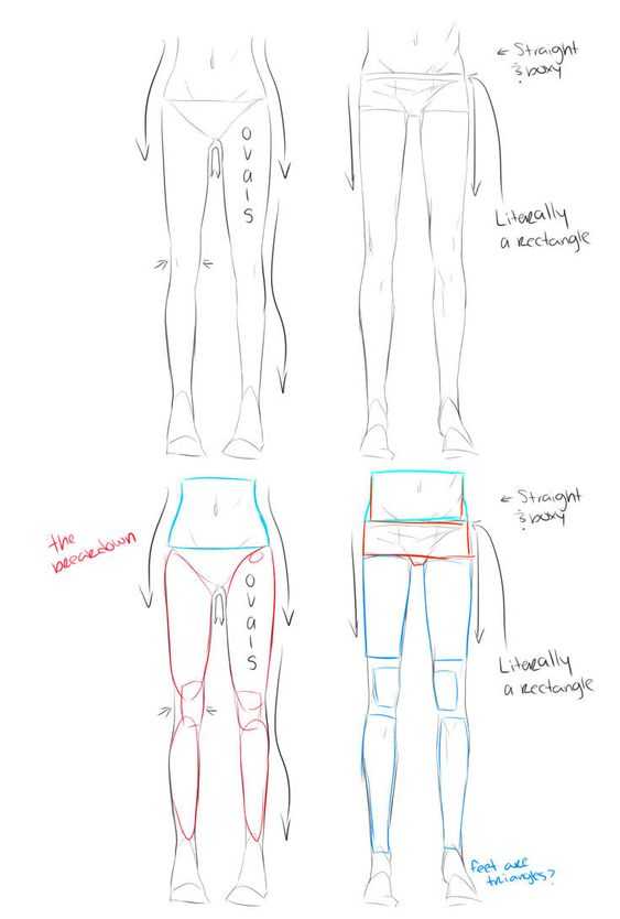 legs drawing reference female legs drawing reference male legs drawing reference muscular legs drawing reference legs art reference 5